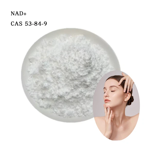 Nicotinamide Adenine Dinucleotide Powder